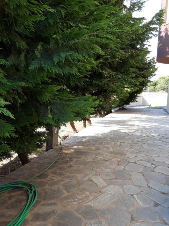Apartment Ithakis Nea Iraklitsa المظهر الخارجي الصورة